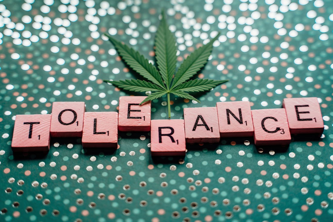 letter tiles forming the word “tolerance” beneath a hemp leaf to indicate THC tolerance