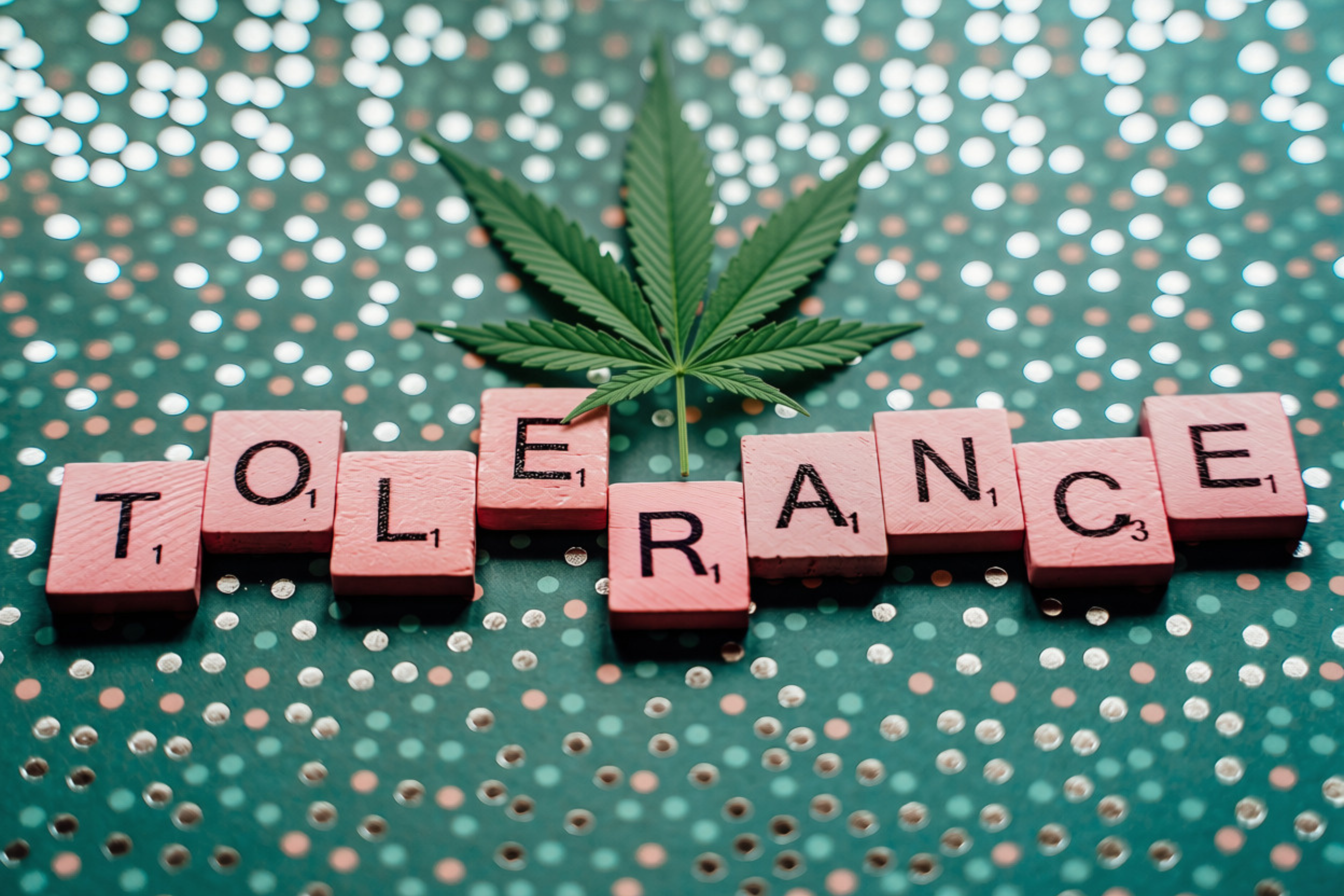 letter tiles forming the word “tolerance” beneath a hemp leaf to indicate THC tolerance
