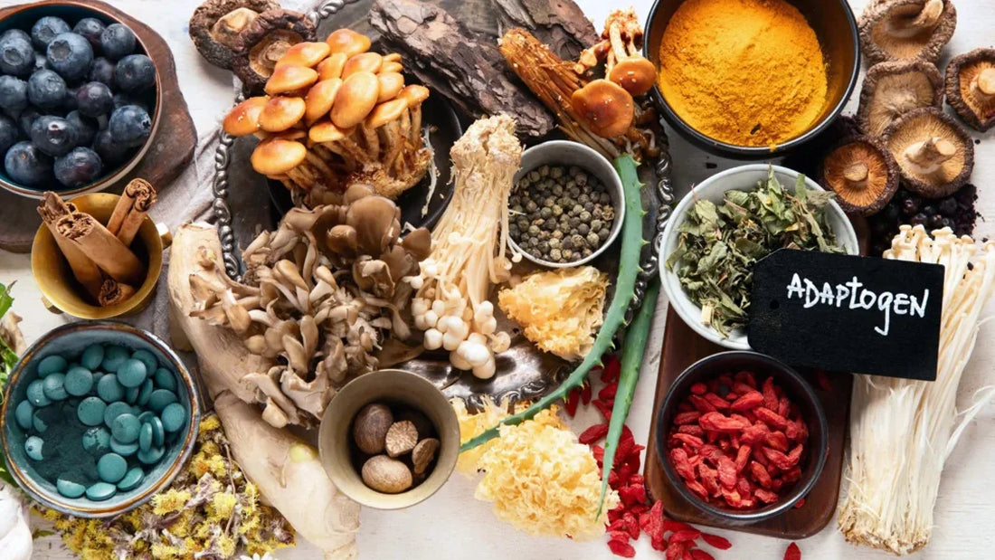 Adaptogen Drinks - Quick Guide on Why They are Popular