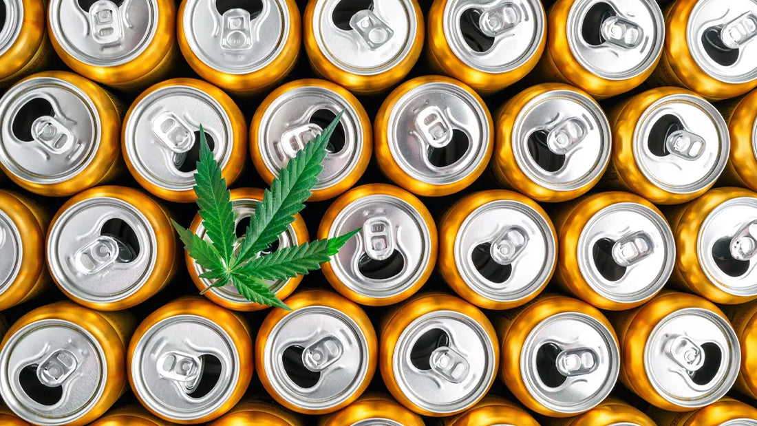 Cannabis Soda - How to Find the Best Infused Soda