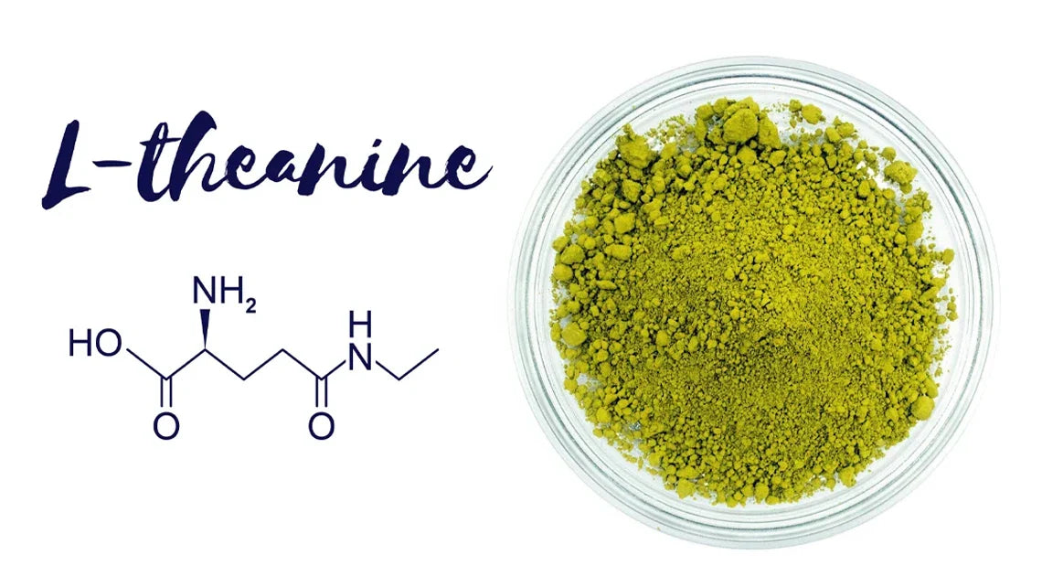 What Is L-theanine - Learn about its Effects and more